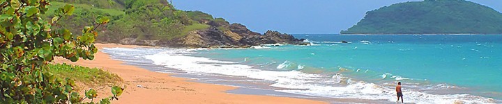 Location minibus France - Guadeloupe